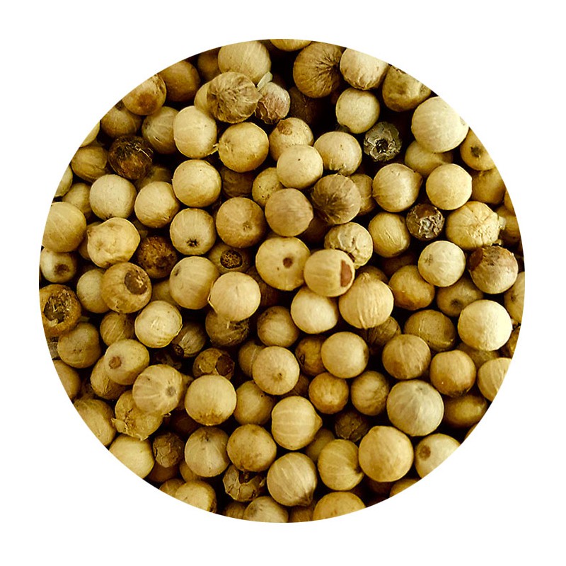 Saison de la récolte du poivre blanc de Penja au Cameroun - Xinhua 