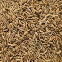 cumin graines
