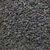 Nigelle ou cumin noir