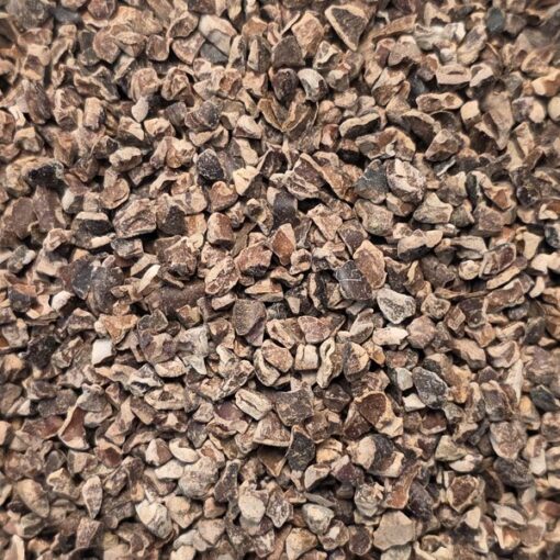 Grué de Cacao