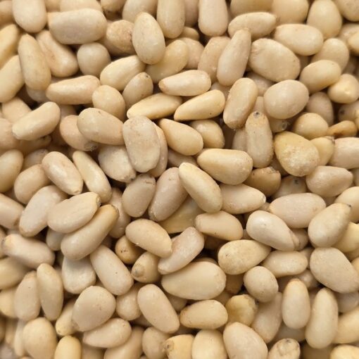 pignons de pin