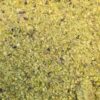 Poudre de pistache en vrac Comptoir des Arômes