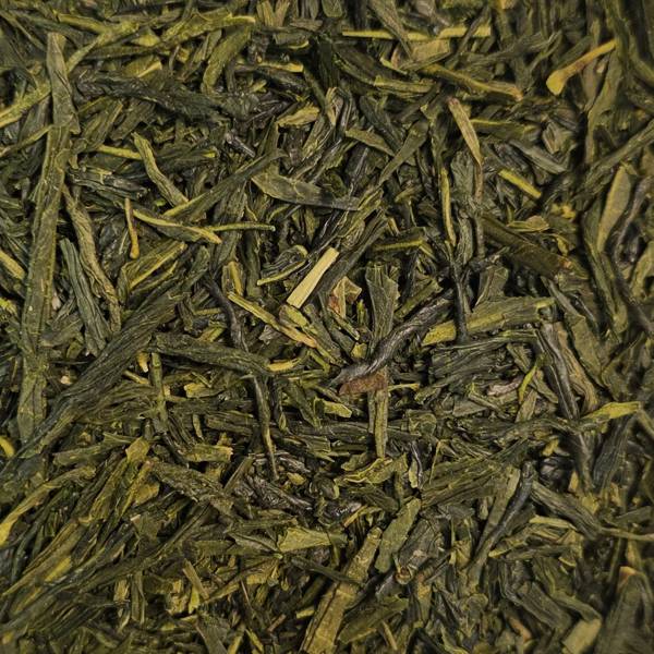 Thés verts natures