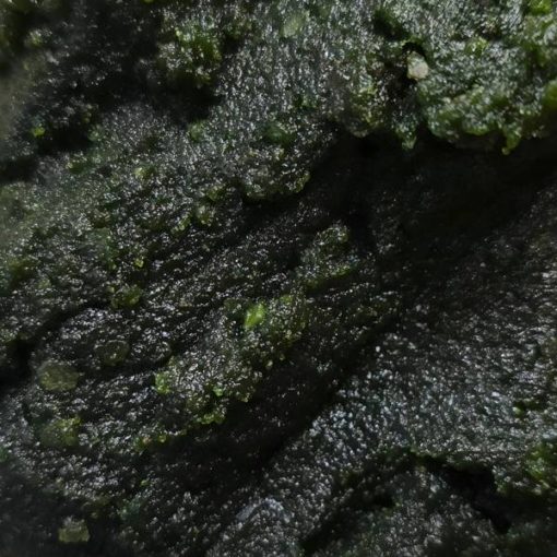 pâte de pistache
