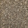 Graines de Chia