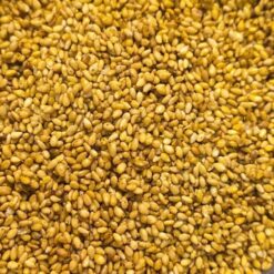 Sésame grillés au Yuzu