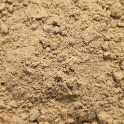 gingembre poudre