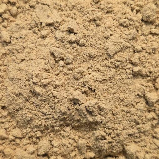 gingembre poudre