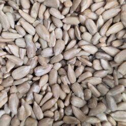 graines de tournesol