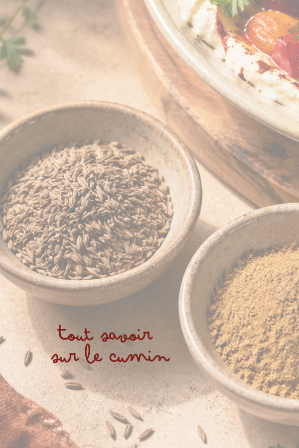 Comment utiliser le cumin en cuisine : graines, poudre, idées recettes et conseils